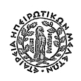 Ιωάννης Ν. Νικολαΐδης, Τα Γιάννινα του Μεσοπολέμου