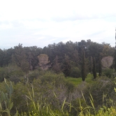 Πάρκο Αθαλάσσας