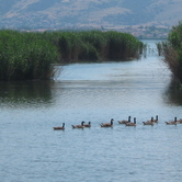 Όχθες της λίμνης