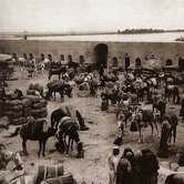 Εκμετάλλευση του ξένου