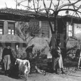 Το χάνι του μπάρμπα-Θύμιου