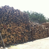 Στο ξυλάδικο του Βόλου