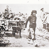 Στο δρόμο της προσφυγιάς με κάρα