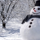 Ο χιονάνθρωπος