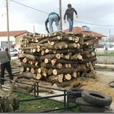 Κολέντα, μπάμπω, κολέντα