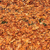 Άλλα χώματα