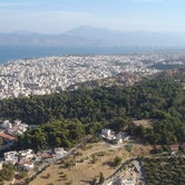 Όχι δάσος, μα δασύλλιο