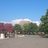 Τ’ άνθος τ’ άγριο