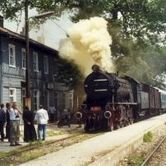 Στα Κούτσουρα