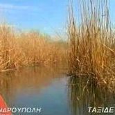 Ταξιδεύοντας με τον Θύμιο