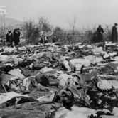 Θύματα της μάχης της Φλώρινας