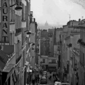 Το θεώρημα του Παπαγάλου