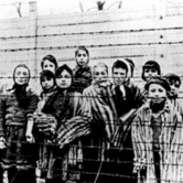 Ζωή Καρέλλη, Ισραήλ