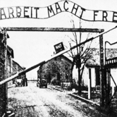 Το όνειρο της βασιλοπούλας