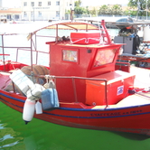 Το γιούσουρι