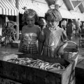 Για ψάρεμα στον Παγασητικό