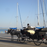 Στου Βόλου τις ακρογιαλιές