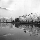 Νάταν οι κάμποι θάλασσα (του Αλή Πασά)